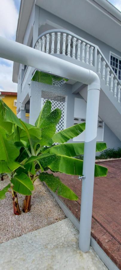 Villa Ravens'S Paradise Azul Willemstad Eksteriør billede